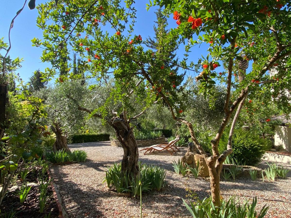 אריאטה Beautiful Country House Near Ronda מראה חיצוני תמונה