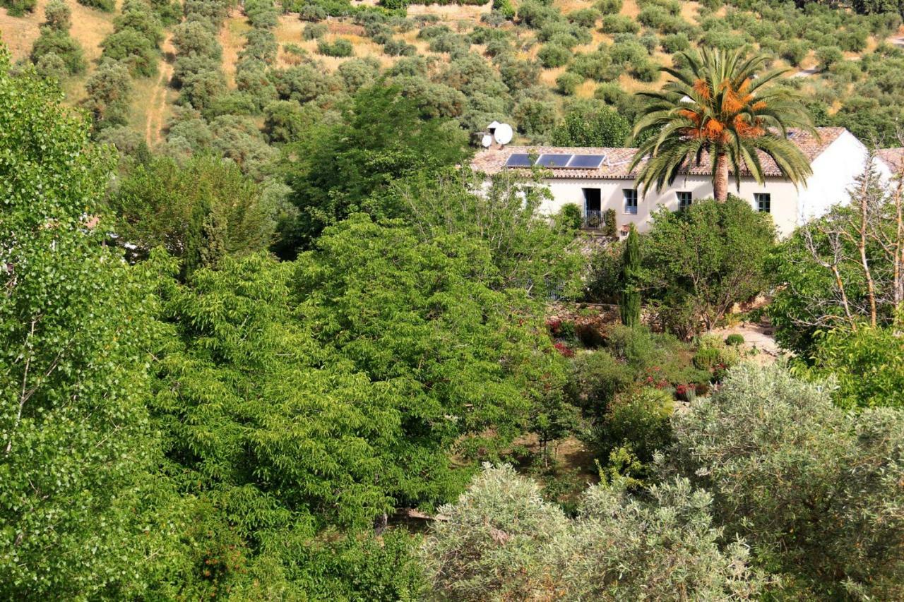 אריאטה Beautiful Country House Near Ronda מראה חיצוני תמונה